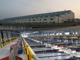 Yuling polymetallic ore dressing plant successfully put into operation